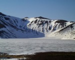 4 bears on the ice (can't see them?  look at the enlarged version!)